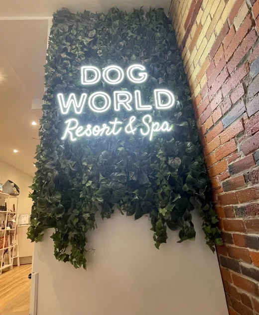 Dog World Resort & Spa reviews