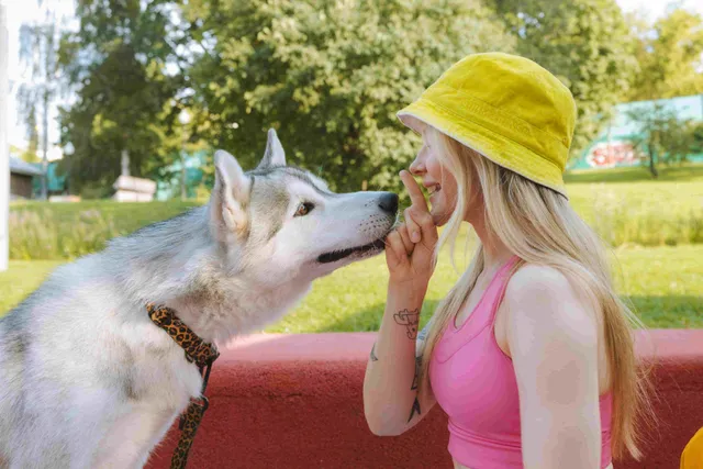 Raising Fido Behaviour & Training Centre reviews