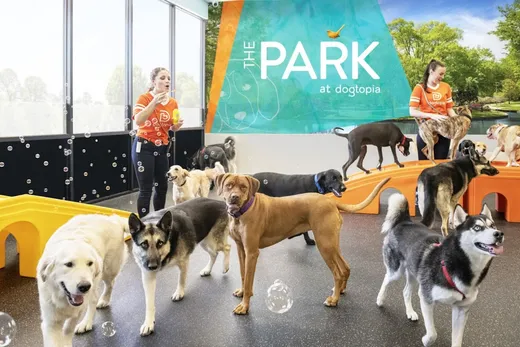Dogtopia of Hazlet reviews