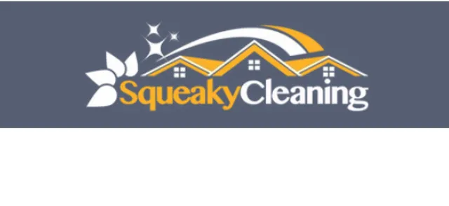 Squeaky Cleaning Mississauga reviews
