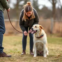 Steadfast Dogs reviews