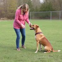 Clever Canines Ltd. reviews