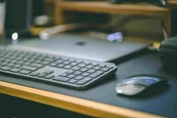 Edu Jungles reviews