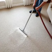BEVERLY HILLS CARPET CLEANERS reviews