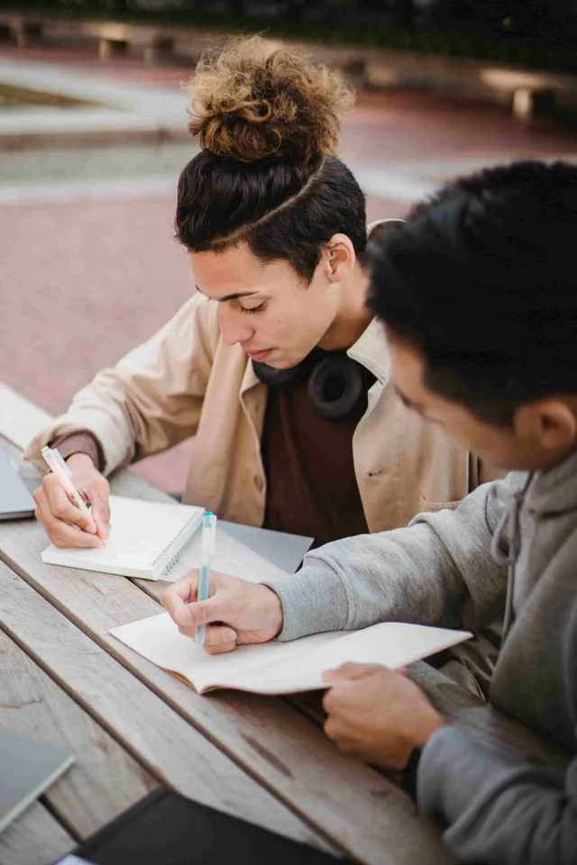 Masters Essay reviews