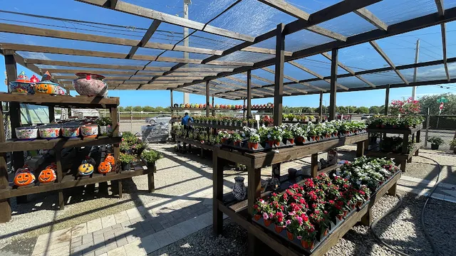 Laguna Bay Nursery Inc reviews