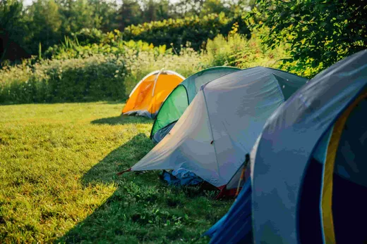 REI reviews
