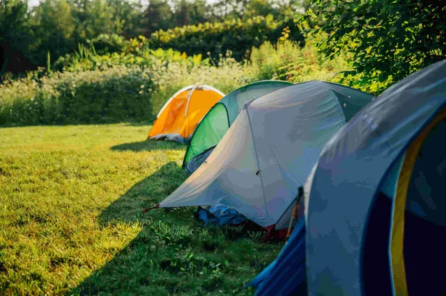 REI reviews