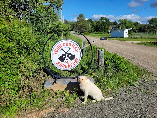 Rock & Stroll Dog Camp reviews