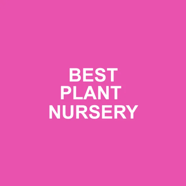 Nu Turf of Pompano Beach, Inc. reviews