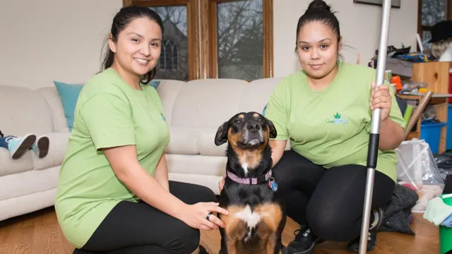 Fresh Tech Maid Chicago reviews