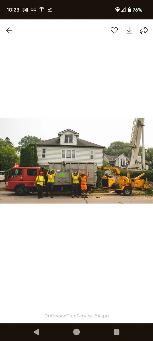 Driftwood Tree Service reviews