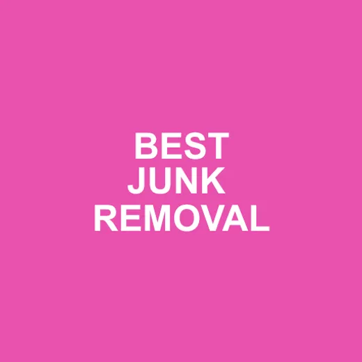 College Hunks Hauling Junk and Moving Chicago reviews