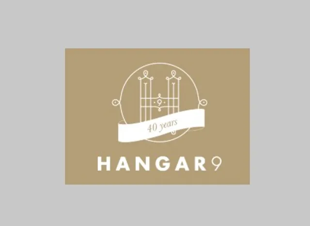Hangar9 reviews
