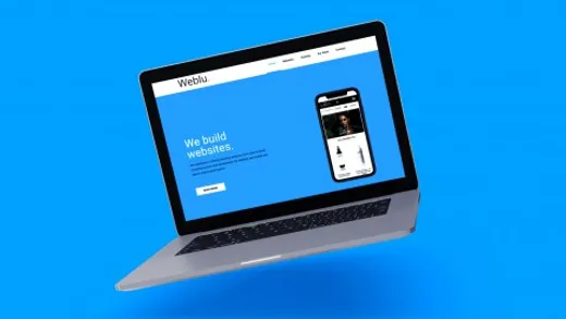 Weblu reviews