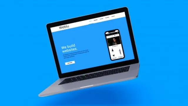 Weblu reviews
