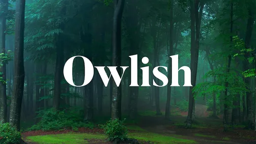 Owlish Agency reviews