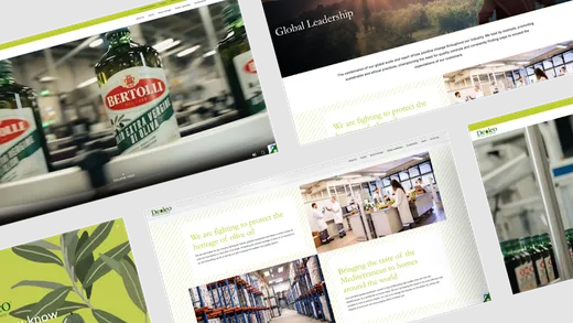 mso web agency reviews