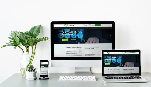 Smart Search SEO reviews