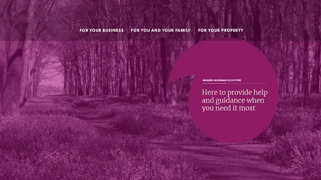 Warner Goodman LLP reviews