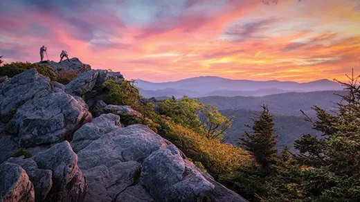 Asheville Web Design reviews