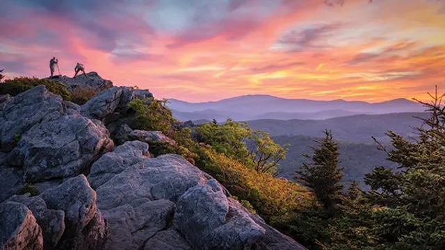 Asheville Web Design reviews