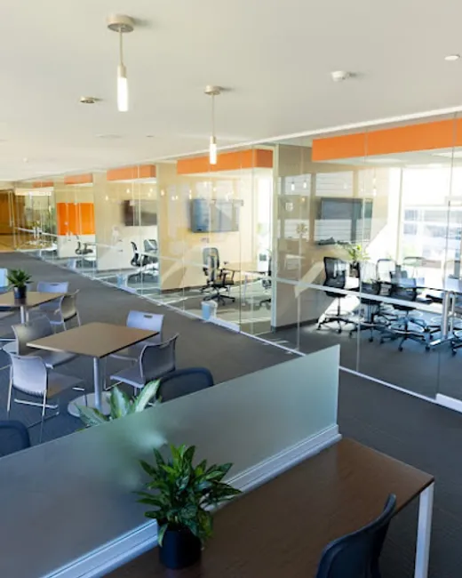 Wildman Web Solutions reviews