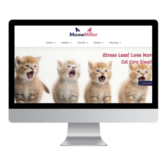 PermianWeb Digital Marketing reviews