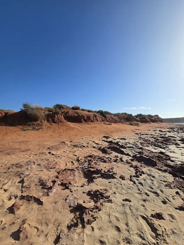 Aboriginal Legal Service of WA (Inc) reviews