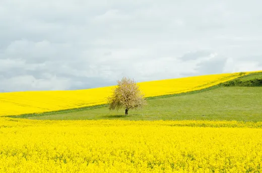 Fresco Creative Marketing, SEO & Web Design Bath reviews