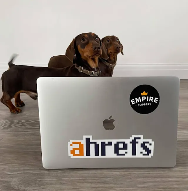 Webspection reviews