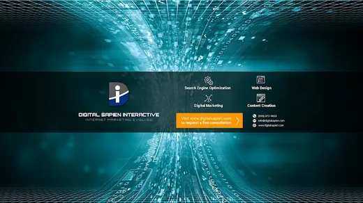 Digital Sapien Interactive reviews