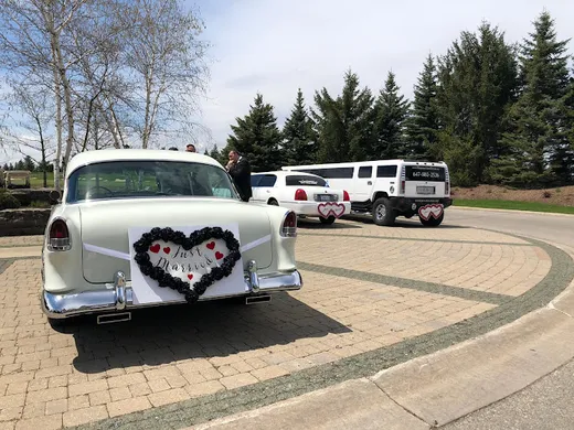 Markham Limo & Party Bus Service reviews