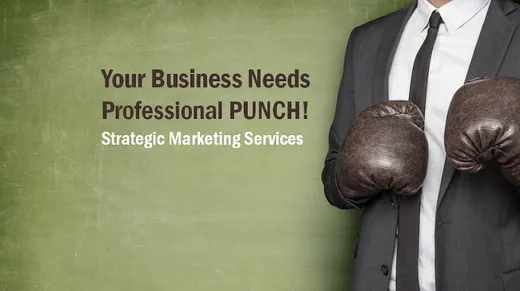 Professional PUNCH Marketing and Business Strategy Consulting reviews