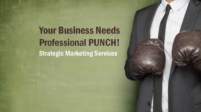 Professional PUNCH Marketing and Business Strategy Consulting reviews