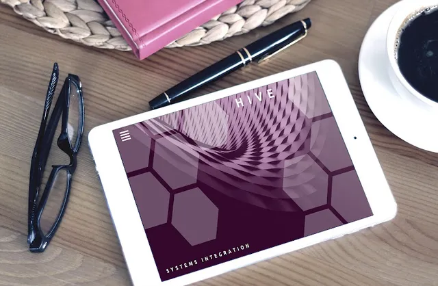 Dream Web Design reviews