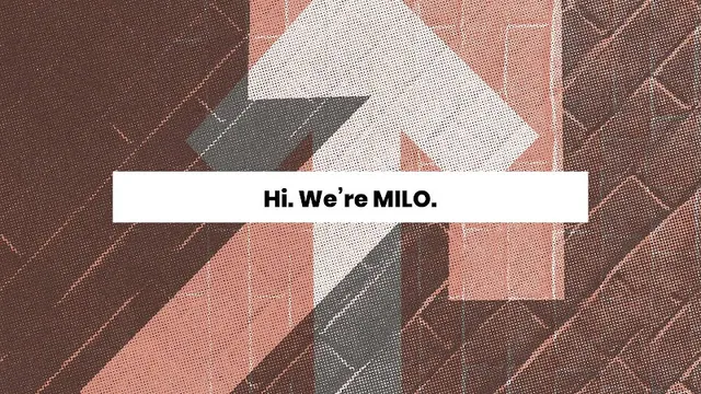 MILO Agency reviews