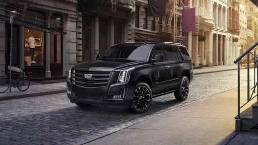 Black Diamond Limousine GTA reviews