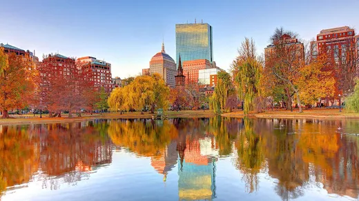 SEO Firm Boston reviews