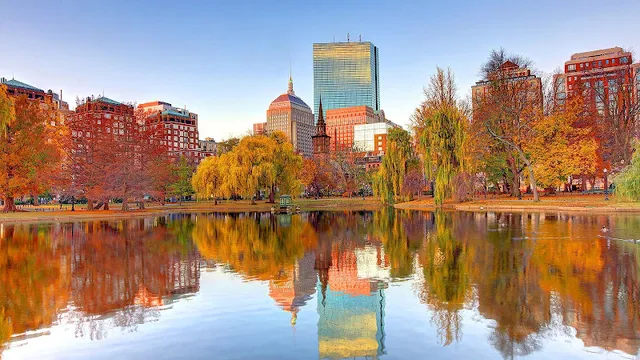 SEO Firm Boston reviews