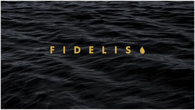 Fidelis Creative Agency reviews
