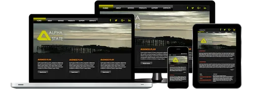 Alpha State Web Design reviews