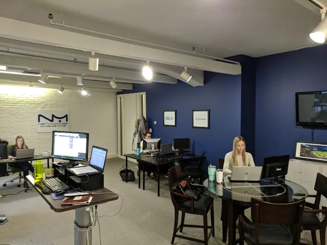 Netvantage SEO Grand Rapids reviews