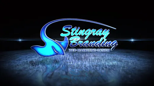 Stingray Branding | Marketing & Design reviews
