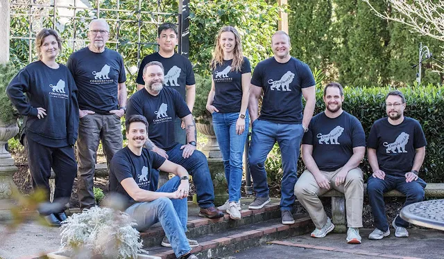 Cornerstone Web Studio reviews
