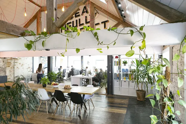 Salad Creative reviews
